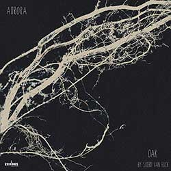 Sjoerd van Eijck (OAK) - Aurora (CD)