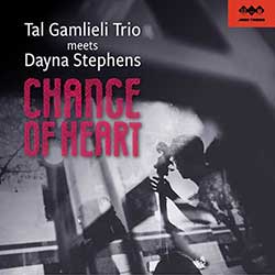 Tal Gamlieli Trio - Change of Heart (download WAV)